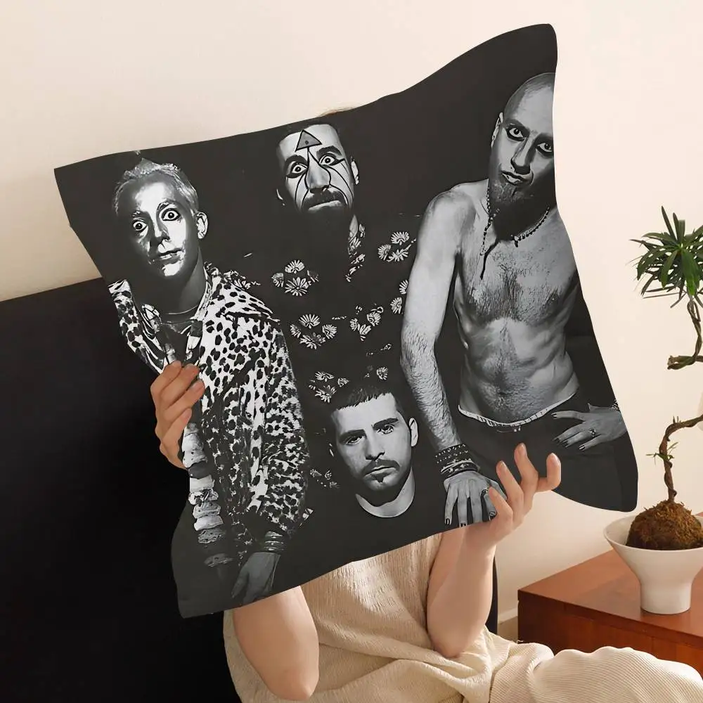 Band S-Systems of A Down Cushion Cover Polyester Sofa Cushions Decorative Throw Pillows Home Decoration Pillowcover