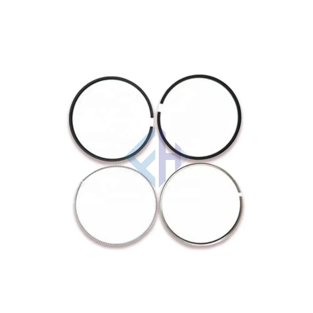 OEM Quality 665030052A 6650300524 671030072A Piston Ring Set for Ssangyong Actyon Sports Kyron