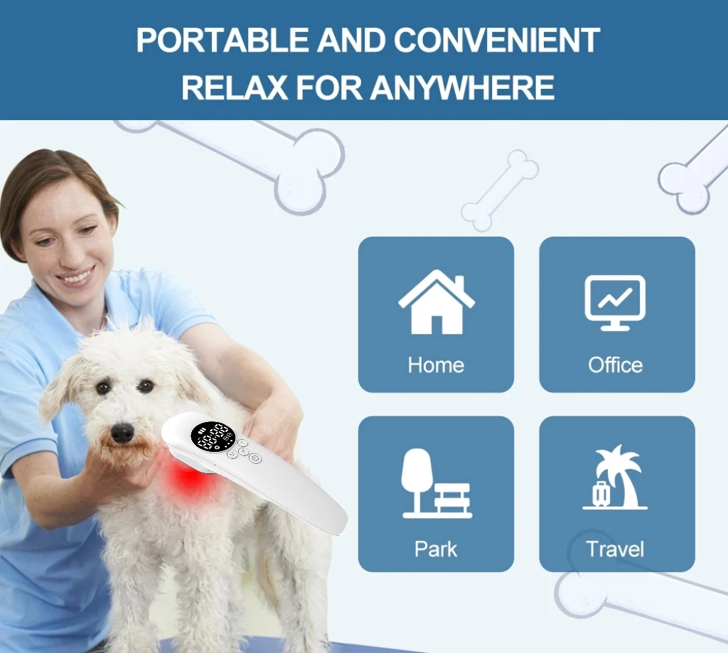 다기능 동물 회복 장치 EMS & LLLT (650nm/808nm) 빠른 골절 치유 및 관절 통증 관리