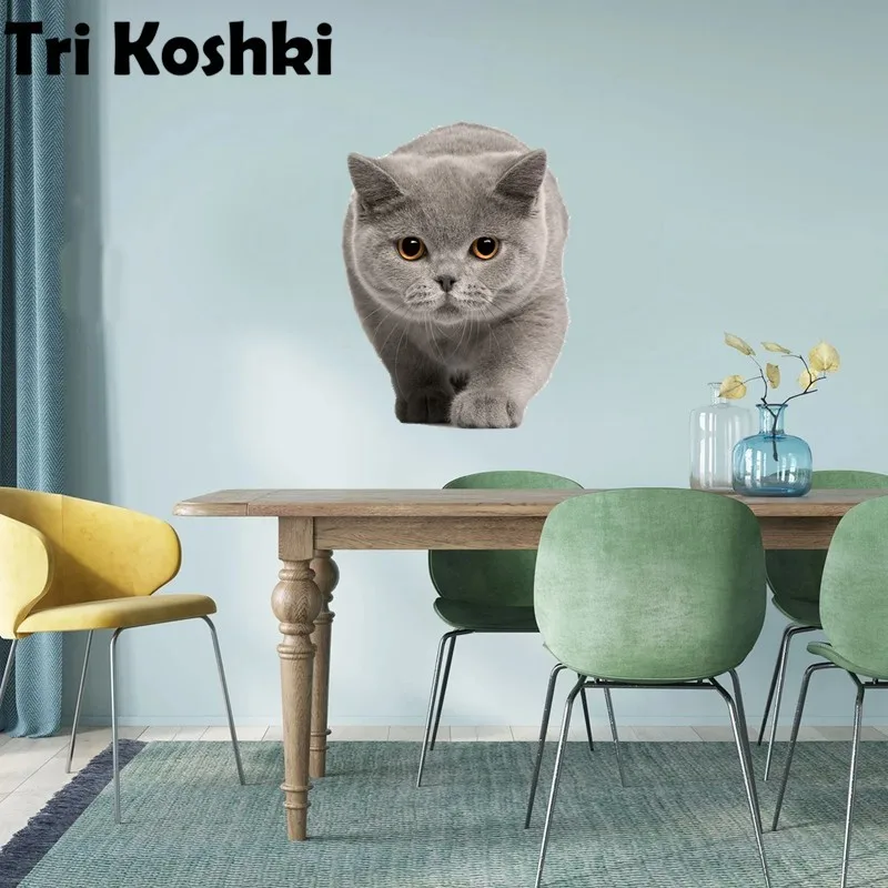 Tri koshki RC038 Anime Cat Fat British Shorthair Wall Sticker Waterproof PVC Decoration Door Living Room Kids Room