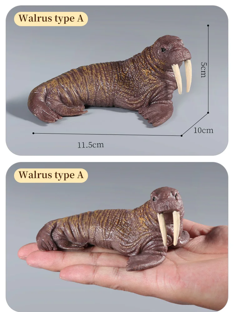 Simulations-Actionfiguren „Ozean, Meer, Leben, Tiere – Walross, Seekuh, Seelöwe, Lernspielzeug für Kinder, Marine-Modell-Kollektion – Detail 13