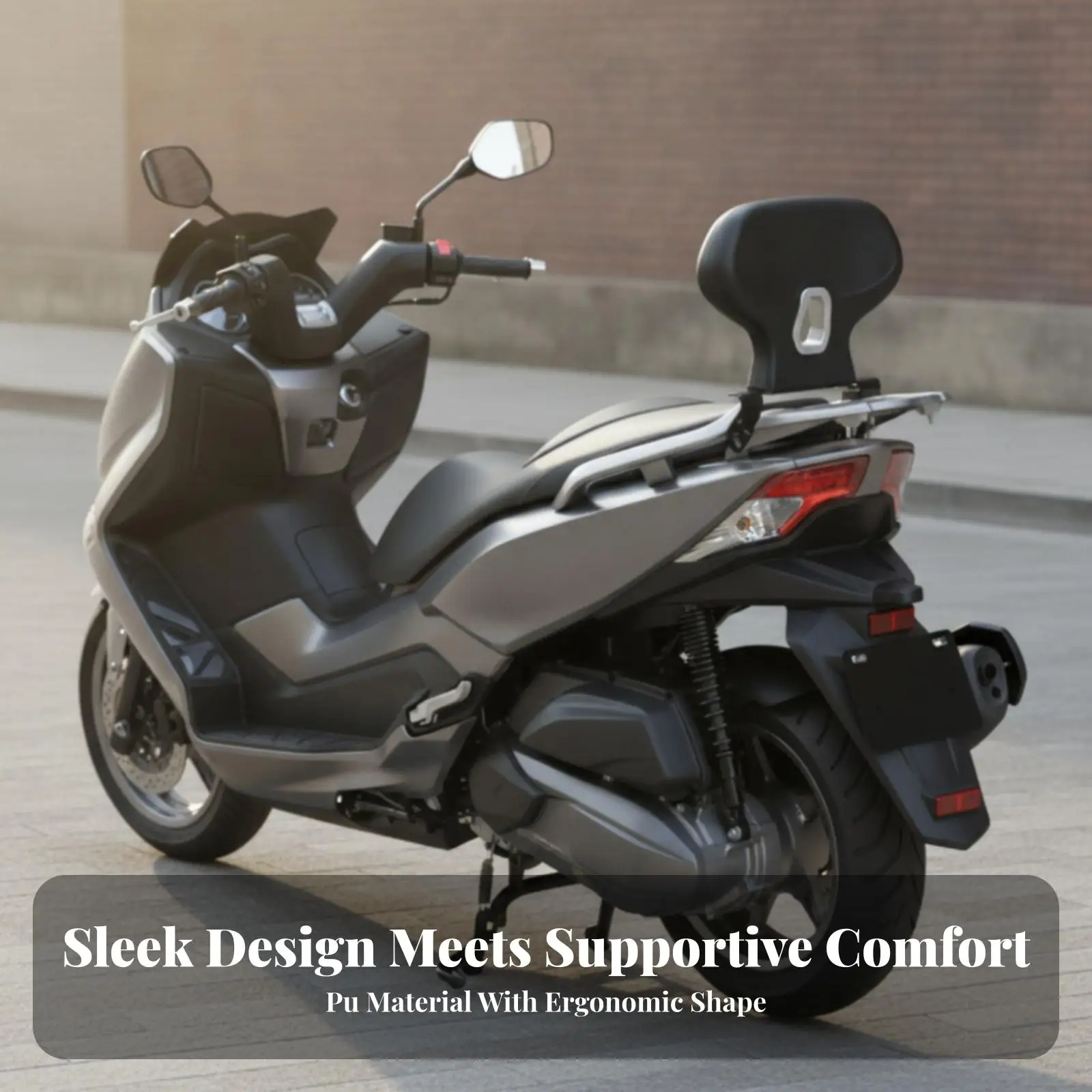 Model-Specific 368G Passenger Backrest | Wear-Resistant, Easy to Clean, Motorcycle Passenger Backrest with Metal Bracket, for