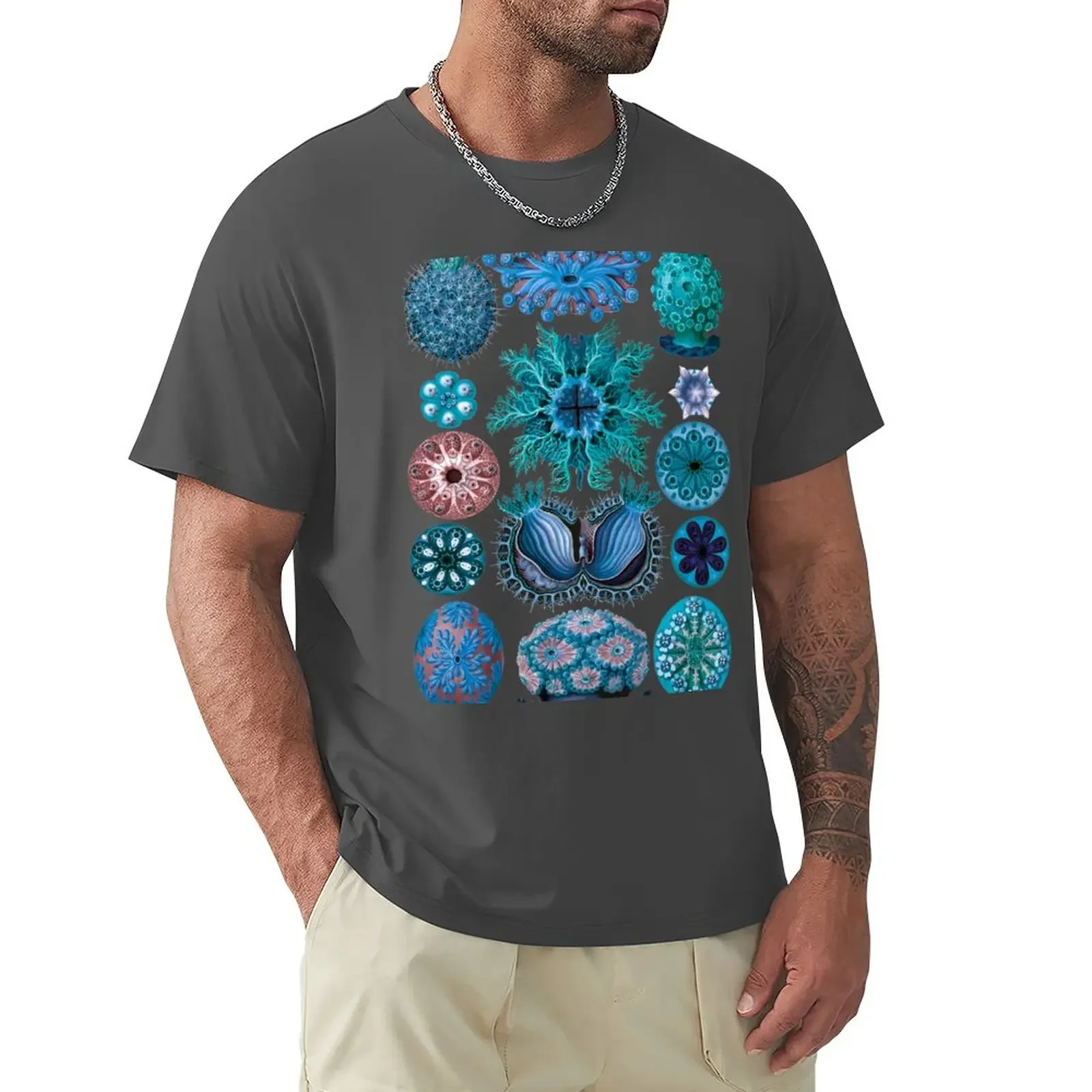 Ernst Haeckel Ascidiae Sea Squirts Teal Colorway T-Shirt anime quick-drying mens graphic t-shirts anime