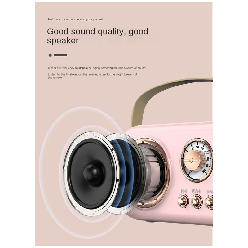 Familia al aire libre Karaoke para niños Altavoz Bluetooth Micrófono inalámbrico Tarjeta portátil Subwoofer Alto volumen