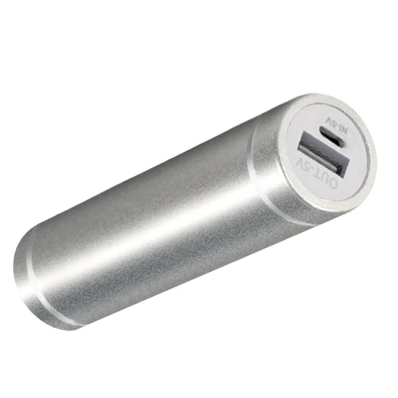 Portable Battery Holder Box for Cellphone Charging USB Output