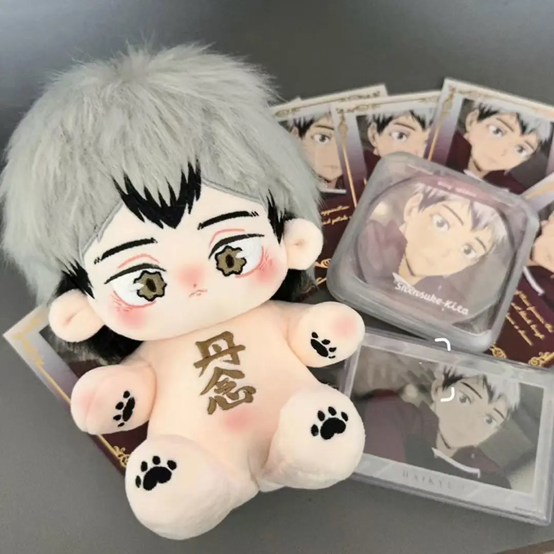 

Фаршированное аниме Haikyuu 20 см! Shinsuke Kita косплей плюшевые куклы-скелеты игрушки для коллекции фанатов или детей друзья подарок на день рождения