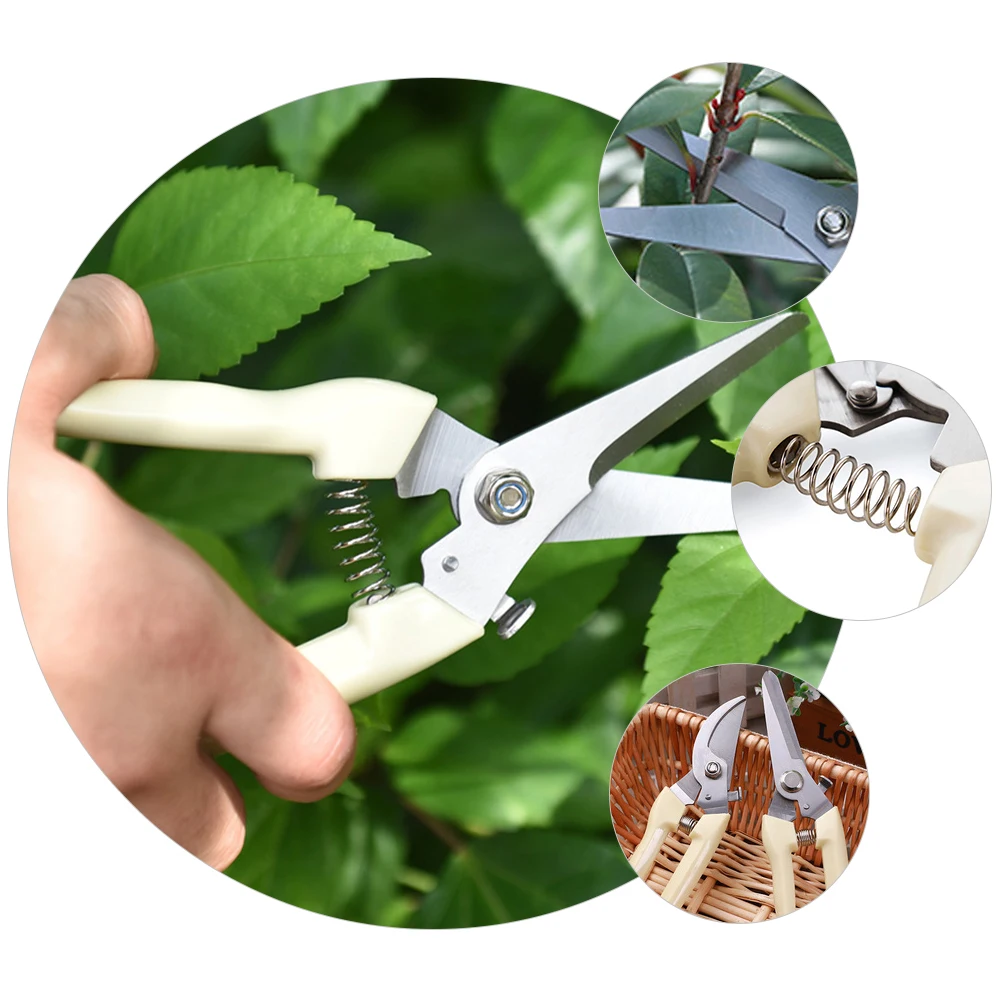 

Stainless Steel Pruning Shears Compact Lightweight Ergonomic Garden Pruner Sharp Scissors Fixing Hole Gardener Gift