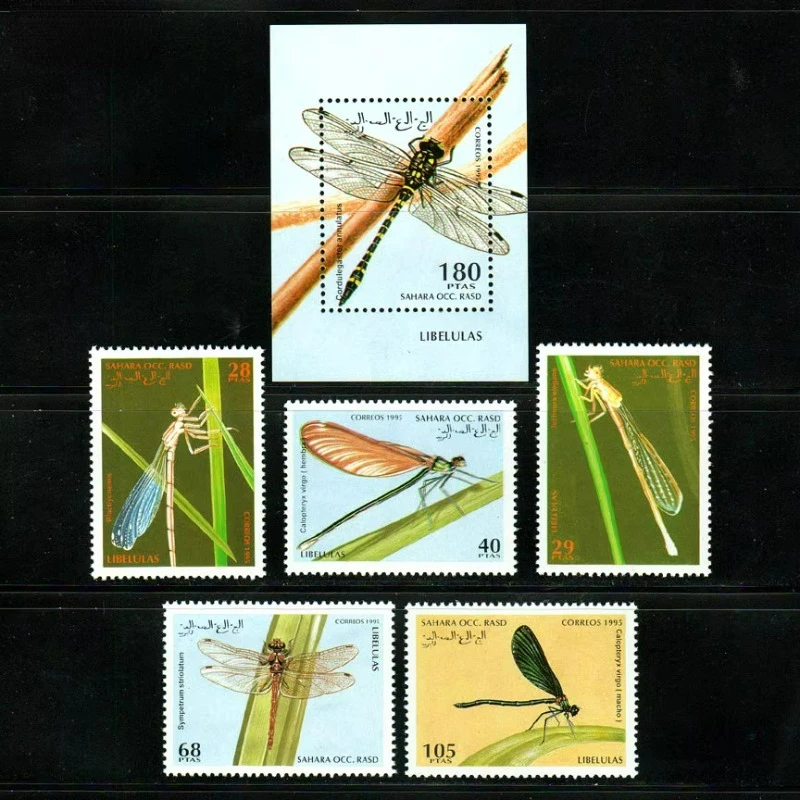 5 PCS+1, Sahara, 1995, Dragonfly, Real Original Post Stamps, MNH