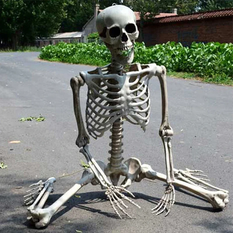 

Full Life Size Human Skeleton Halloween Prop 90CM Haunted House Hanging Props Halloween Movable Skeleton Halloween Ornament Toys