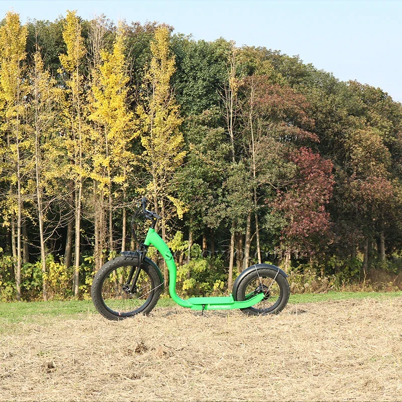 Scooter Kick de alumínio ajustável para adultos, pedal, 2 rodas, 2020