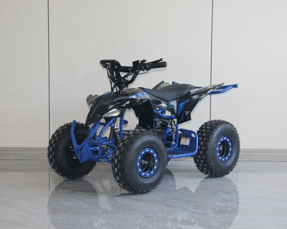 

800W 36V Electric ATV for Adults Transmission Electric Farm ATV for Sale
