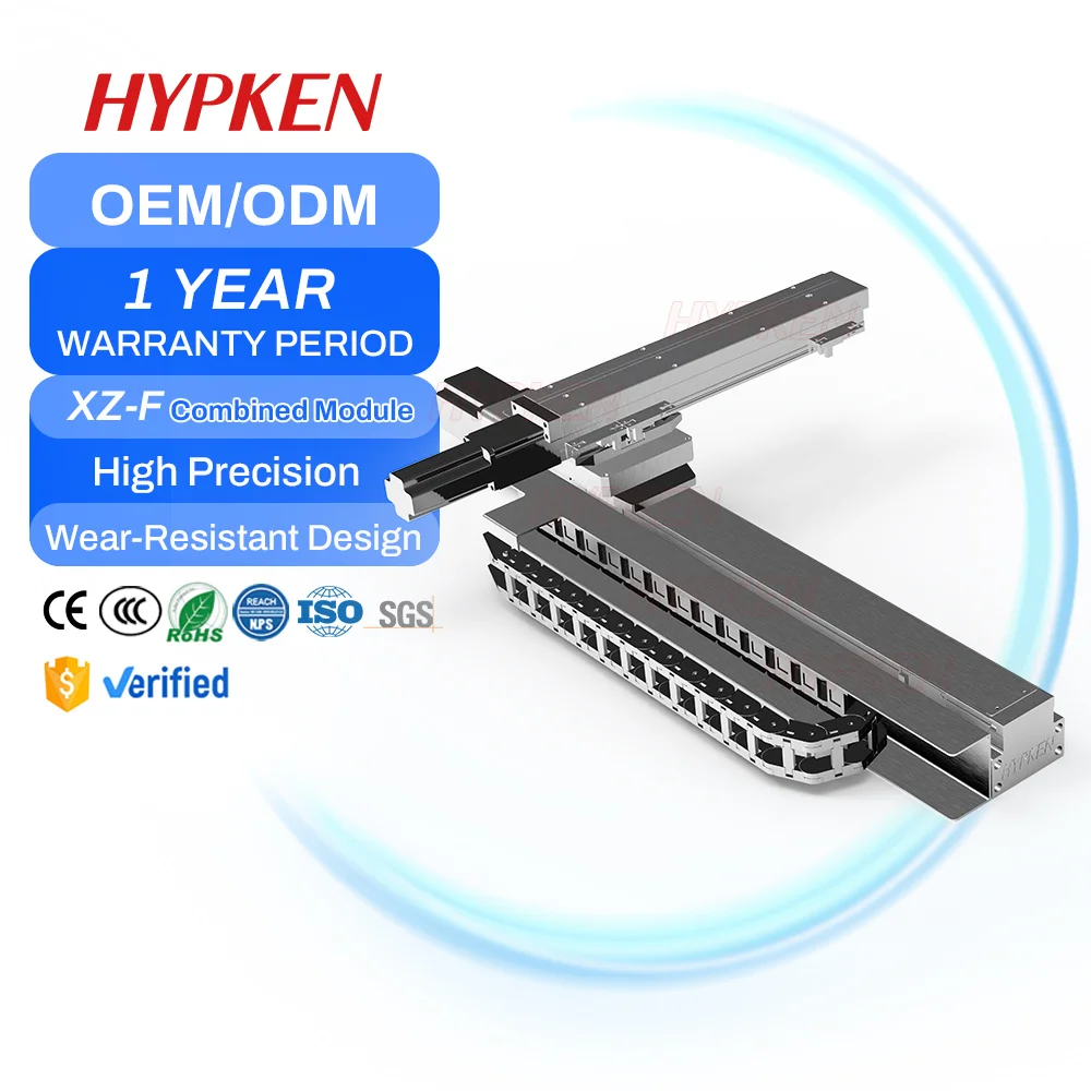 High Efficiency Waterproof And Dustproof Customized Travel 50-4000mm Dual Axis Belt Drive  Gantry Robot
