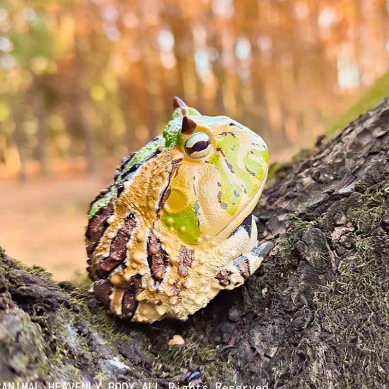 Best-seller! [Em estoque] Série oficial Animal Planet 'Chubby & Happy' # 13 - Modelo de sapo |   Figura e decoração colecionáveis premium