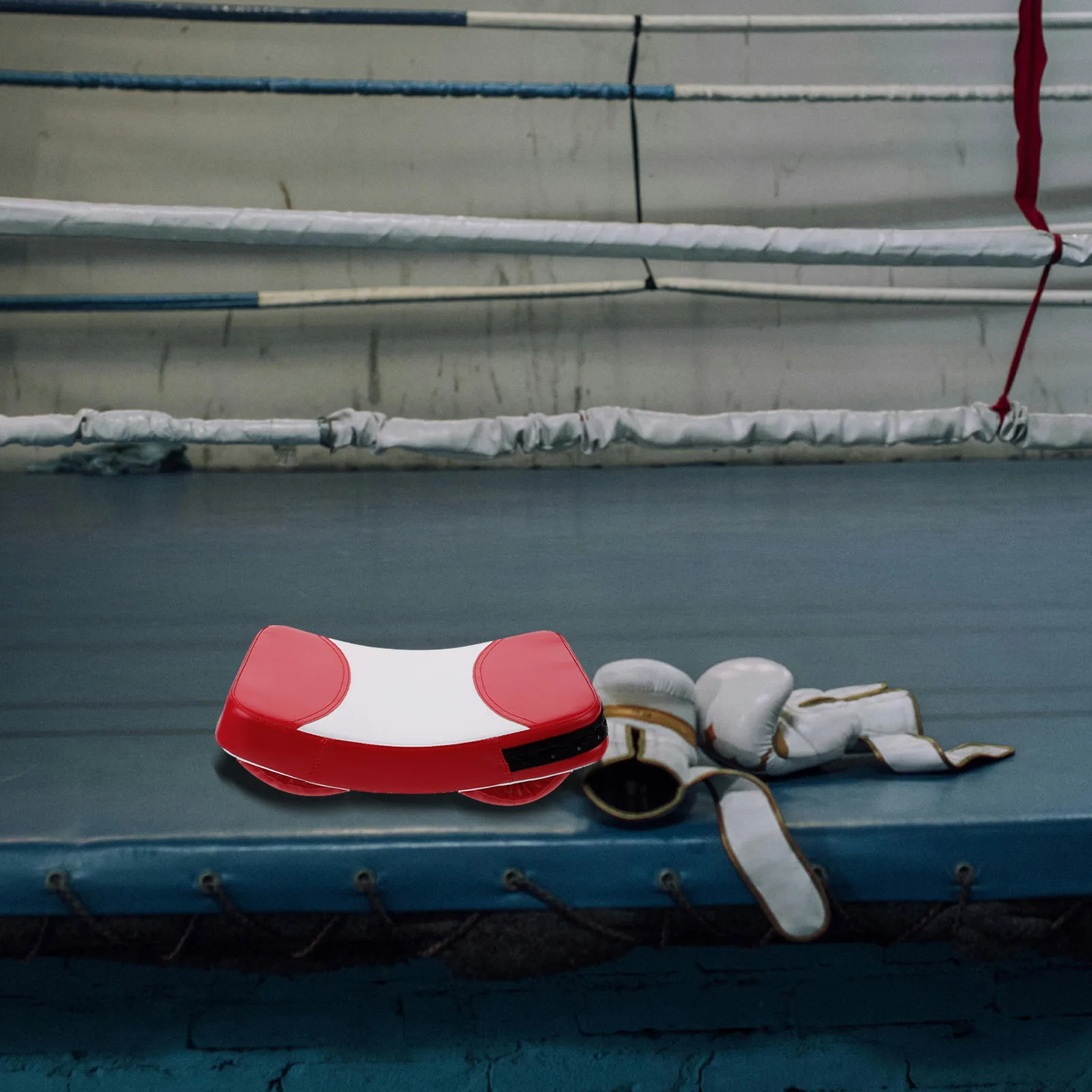 

Kick Pad Boxing Pad PU Sponge Material Comfortable Flexible Design Boxing Training Tool Kicking Shield Kickboxing Martial Arts