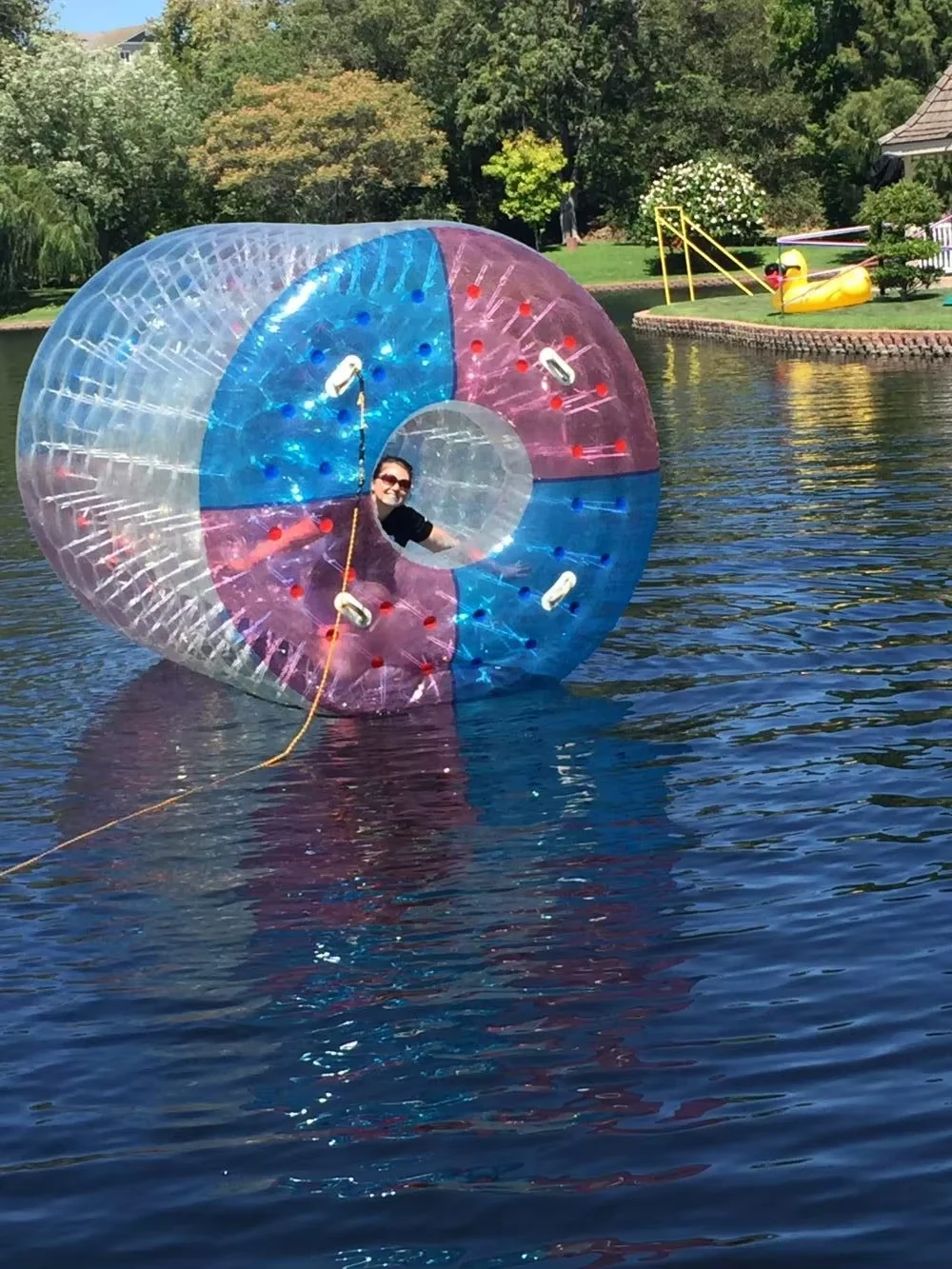 Roue à Eau Gonflable en PVC pour Enfant et Adulte, Équipement de Jeu Aquatique Populaire, Bon Marché, Bonne Qualité