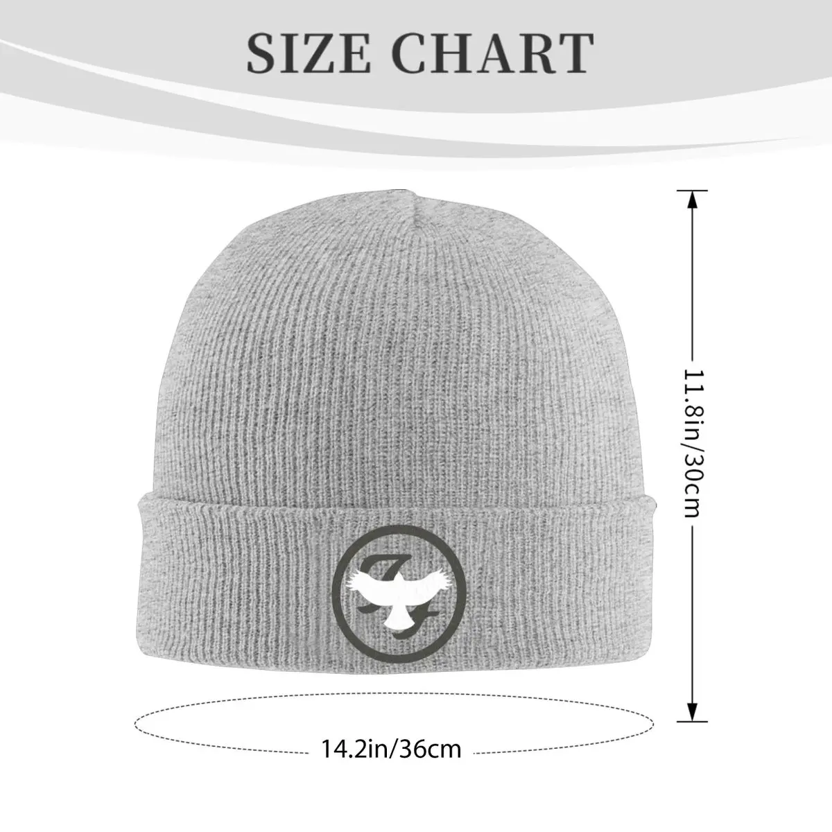 Hawk Fly F-Foo F-Fighters Heavy Metal Knitted Caps Women's Men's Beanies Winter Hats Rock Music Band Crochet Caps