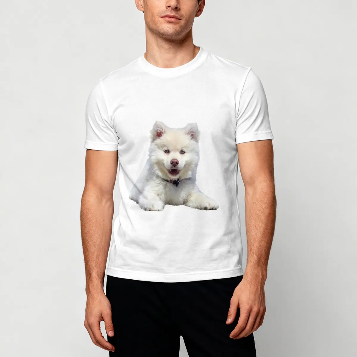 

Мужская футболка с короткими рукавами и круглым вырезом с принтом минималистичного милого самойеда, летняя, универсальная и модная, повседневная.