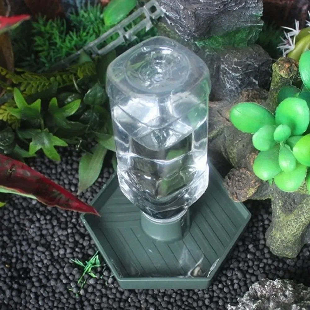 Thumbnail 3 - #30 Cheap Reptile Water Bowls Worth Buying
