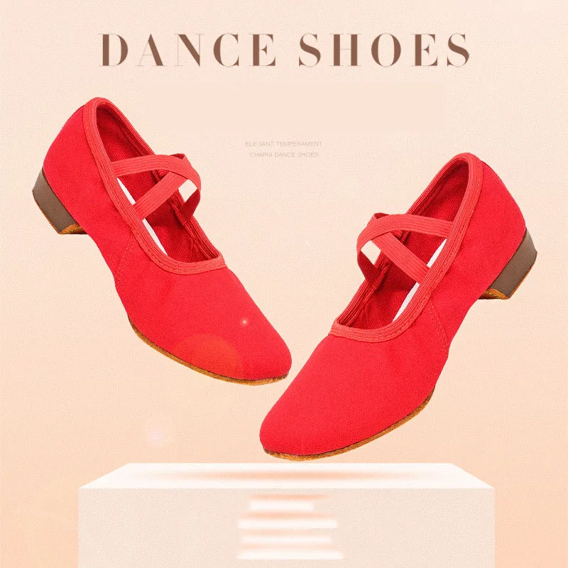 Women Dance Shoes Teacher Training Shoes Adults Latin Shoes Girls Soft sole Ballet Shoes Jazz Yoga Belly Dance Shoes Female