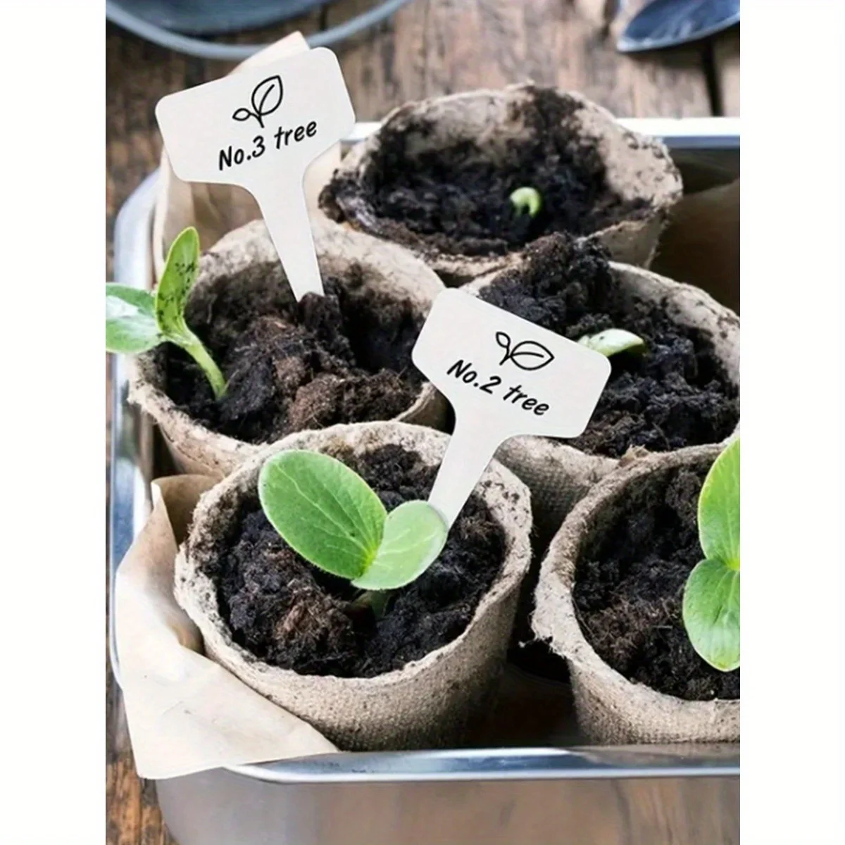 20 Plant Tags, Garden Tags, Waterproof Tags, Nursery Pots, Thickened T-shaped Tags, Waterproof, Reusable Tag Record Board