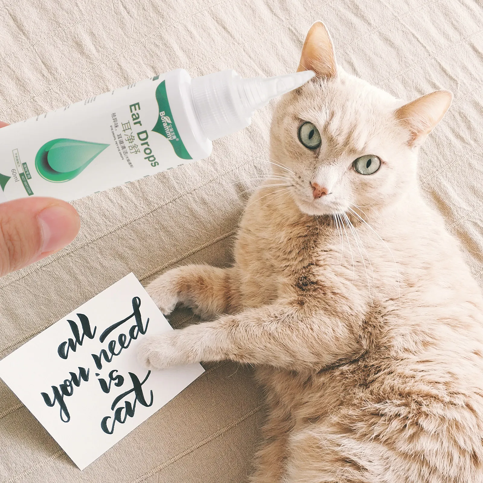 2 butelki kropli do uszu dla p – Pet Ear Cleaner recenzja i cena