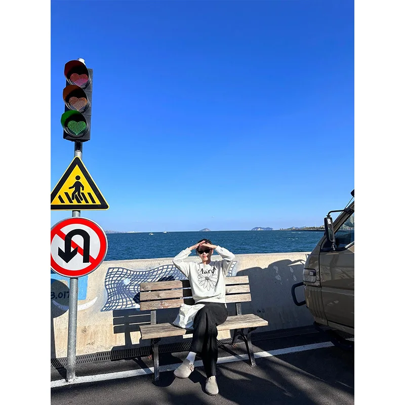 

Женский свитшот в стиле ретро American Daisy Long Sve Crew Ne, весенне-осенний свободный топ с гонконгским шикарным верхом