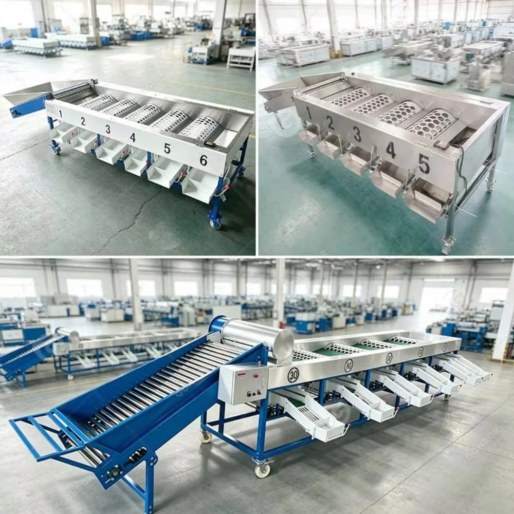 Blueberry Orange Onion Avocado Potato Date Fruit Tomato Sorter Grading Sorting Machine and Wash