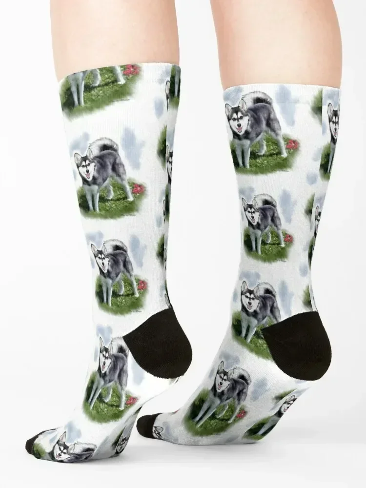 Alaskan Klee Kai Dog Lovers Art Socks cute sheer Rugby Toe sports Socks Woman Men's