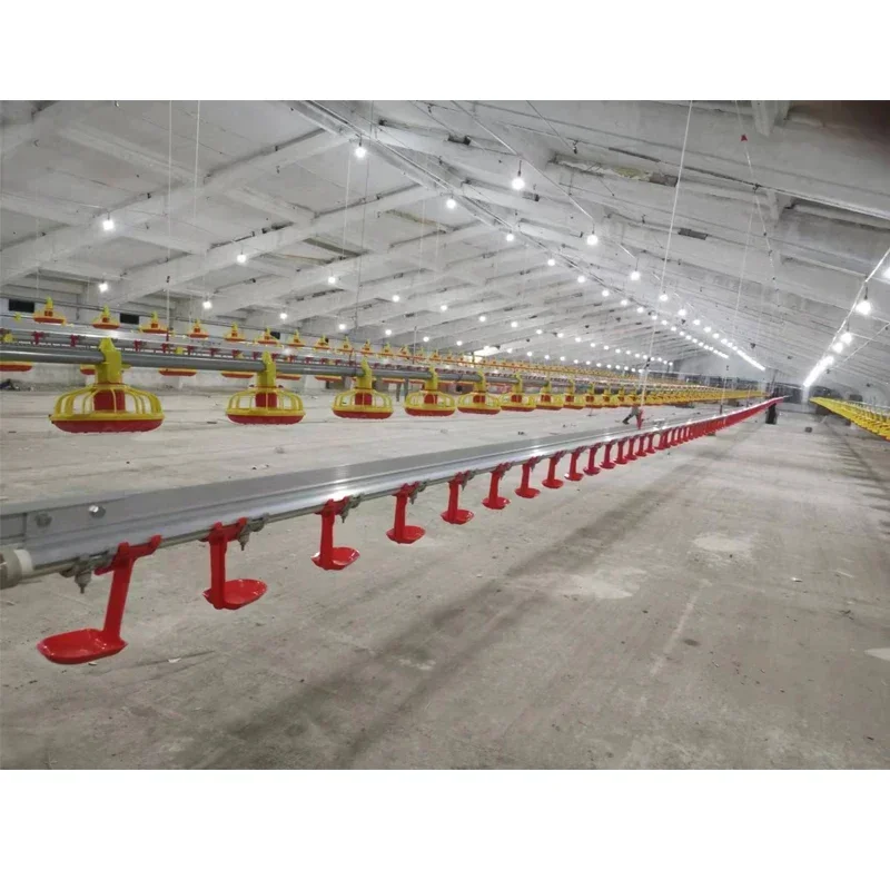 

Automatic Poultry Drinkers Line System Drinker Water Cups For Farm