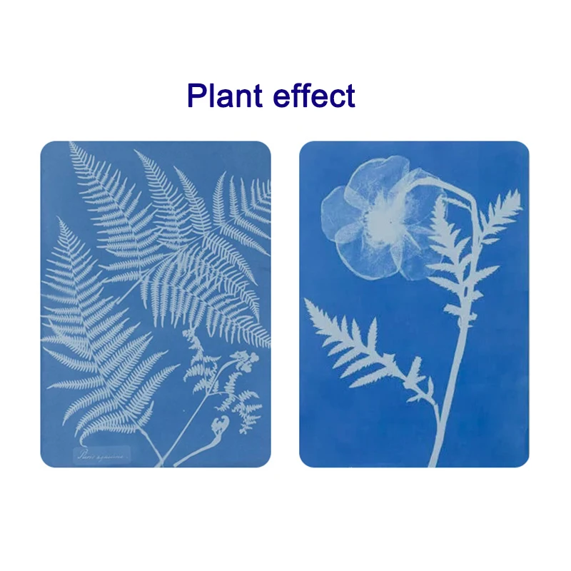 Cyanotyp Set Kalium ferri cyanid Cyanotyp Druck DIY Kit