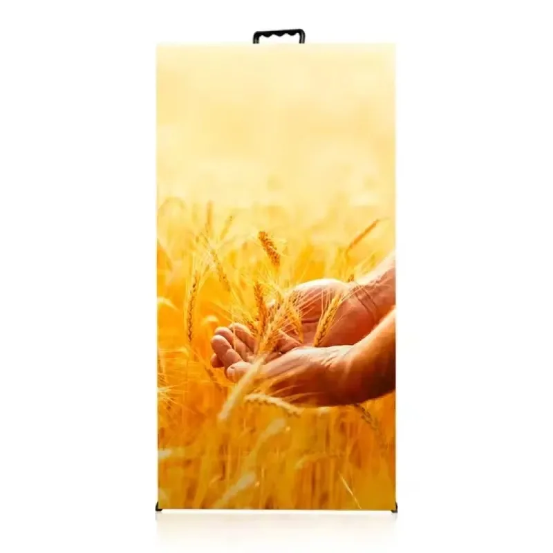 Soft Flexible Full Color LED Display Screen Bendable Design Indoor Outdoor Advertising Module