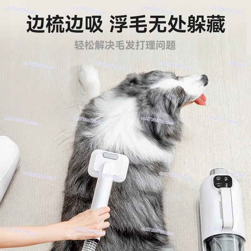 Pet Blow Suction Machine Dog Hair Dryer Hair Dryer Dryer Bath Special Artifact Hair Blowing Machine
