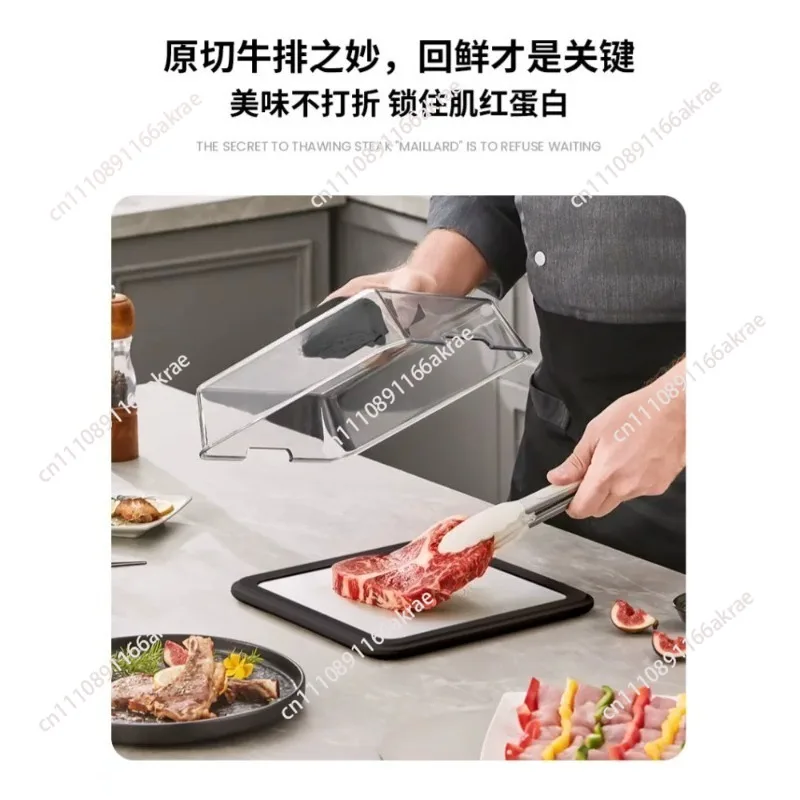 Type-C Charging Defrosting Box Ultra-fast Fresh Recovery Machine Beef Frozen Food Meat Seafood Defrosting Plate