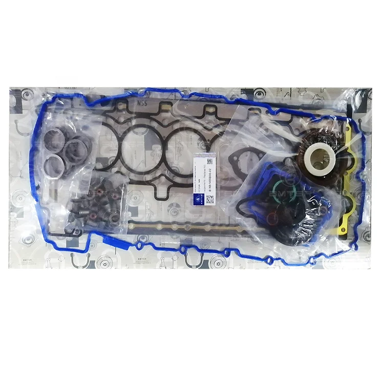 Engine Gasket Repai…