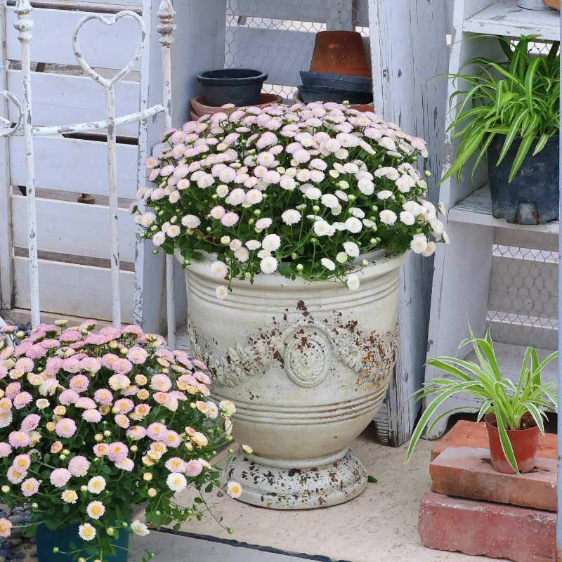 Wide Mouth Breathable Planter Decorative Flower Pot for Garden Balcony Rustic Outdoor Plant Container Wheat Ear Decor Bonsai Pot
