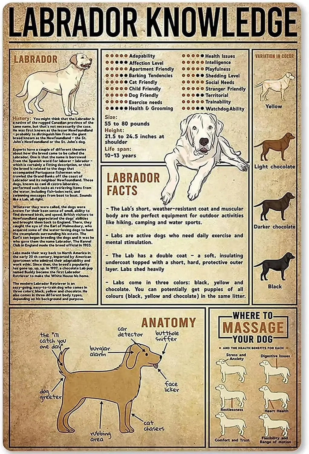 Plaque en métal vintage style ancien, motif Labrador, pour bar, bar des hommes, salon, décoration murale, cadeau amusant