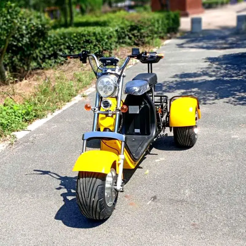 3-wheeled Electric Vehicle12-inch Fat Tire 3000W60V40AH Lithium Battery Removable Urban Mountain Off-road Mobility Motorcycle