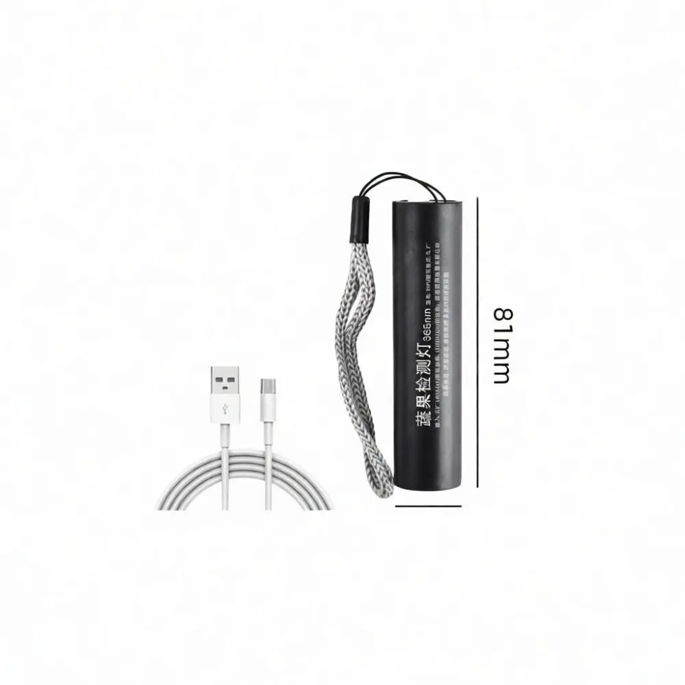 Rechargeable UV Flashlight For Food Safety Testing Pen Vegetable Residue Checker Household Inspection Lamp
