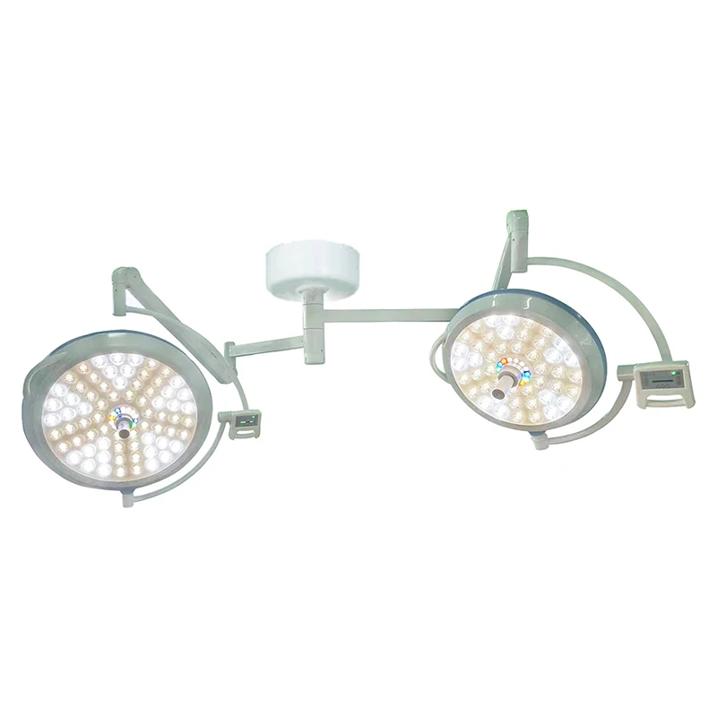 Precision Illumination: FL700/500 Dual LED Surgical Light for Veterinary and  Excellence