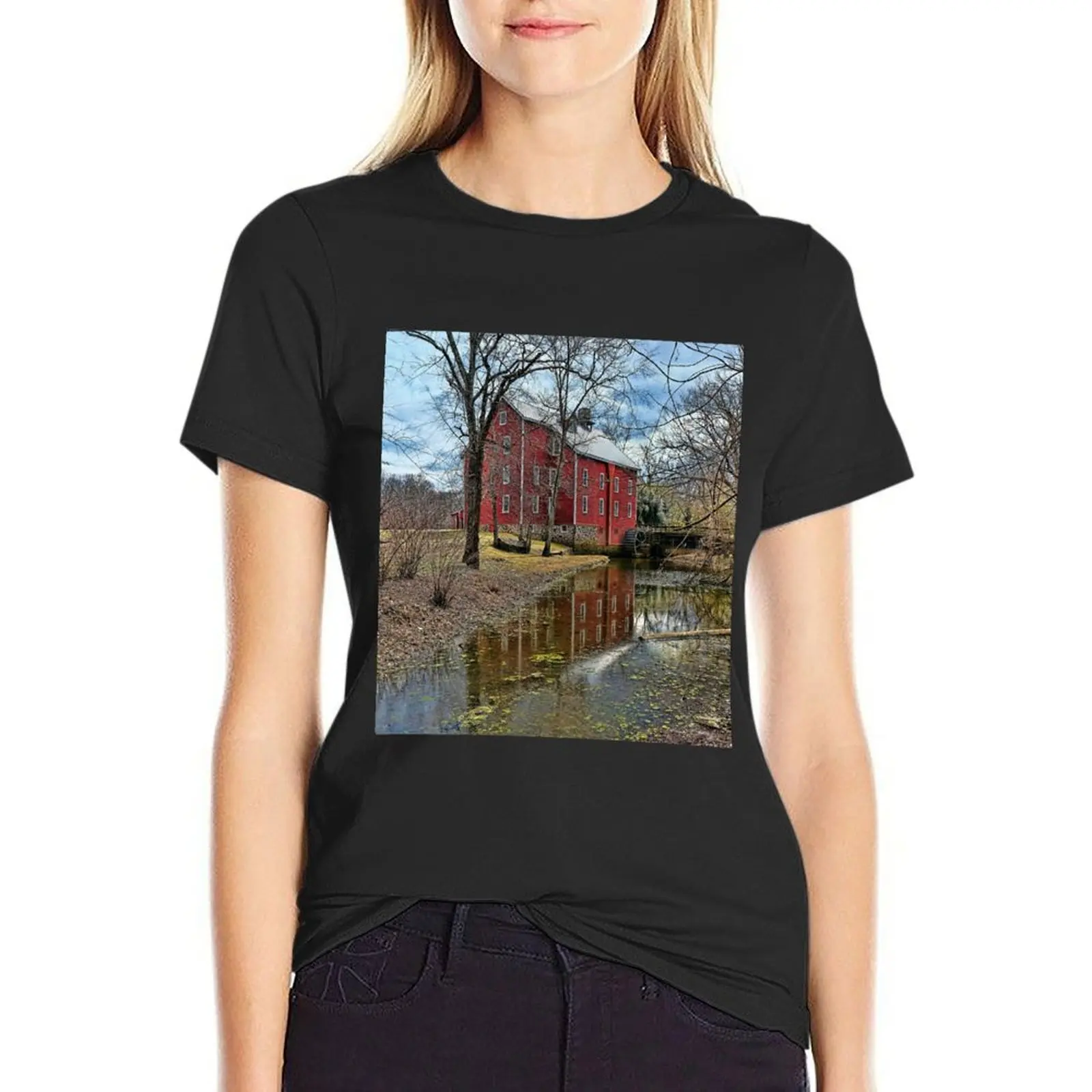 New Jersey Historical Site T-Shirt Aesthetic clothing tops kawaii clothes oversized Top Women