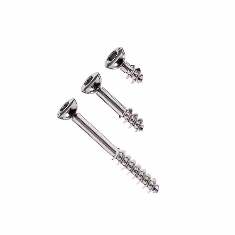 10 Pcs 4.0/6.5mm Stainless Steel Half Thread Tension Screws For Small Animal Pets