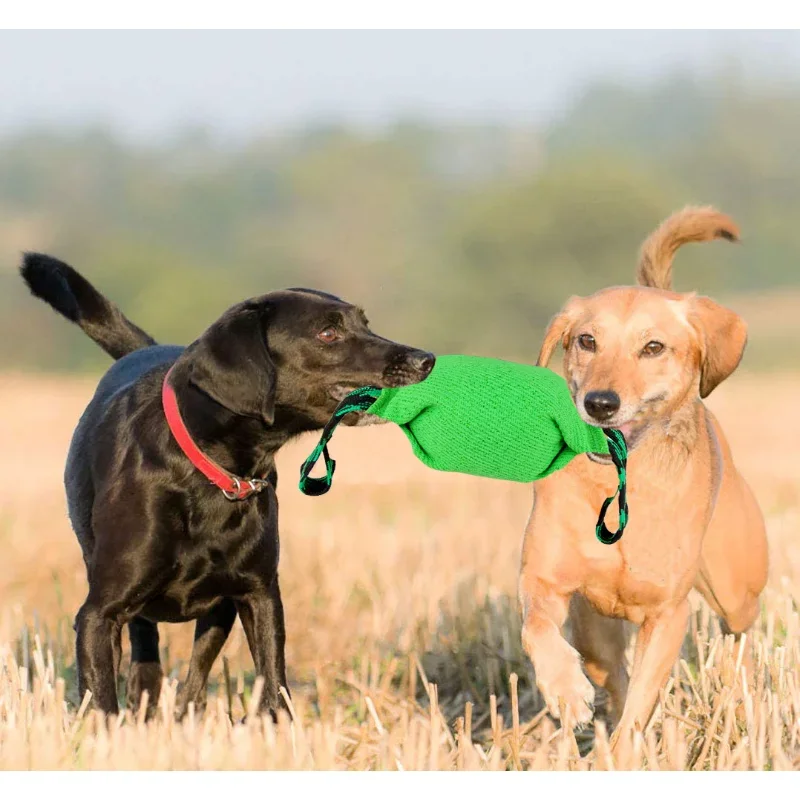 Pet Dog Bite Resistance Toys Thick Hemp Dogs Bite Toy Training Tugs Pillow Nylon Rope Double Handle Coarse Hemp Bite Stick