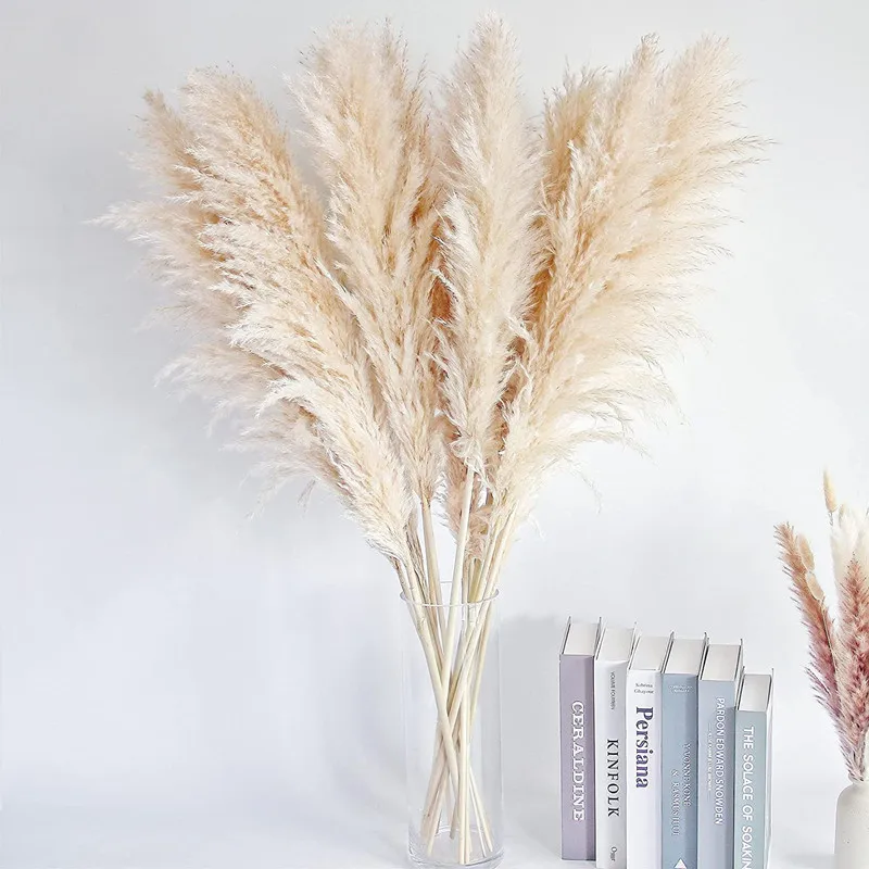 

Pampas Grass Large Beige Natural Living Room Decoration Fluffy Long Dried Flowers for Interior Wedding Arch Floral Decorations