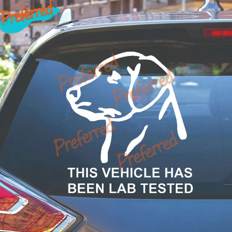 2x Labrador Vinyl Car Window Decals Sticker This Vehicle Has Been Lab Tested - Customizable in Any Sticker Size - No Background