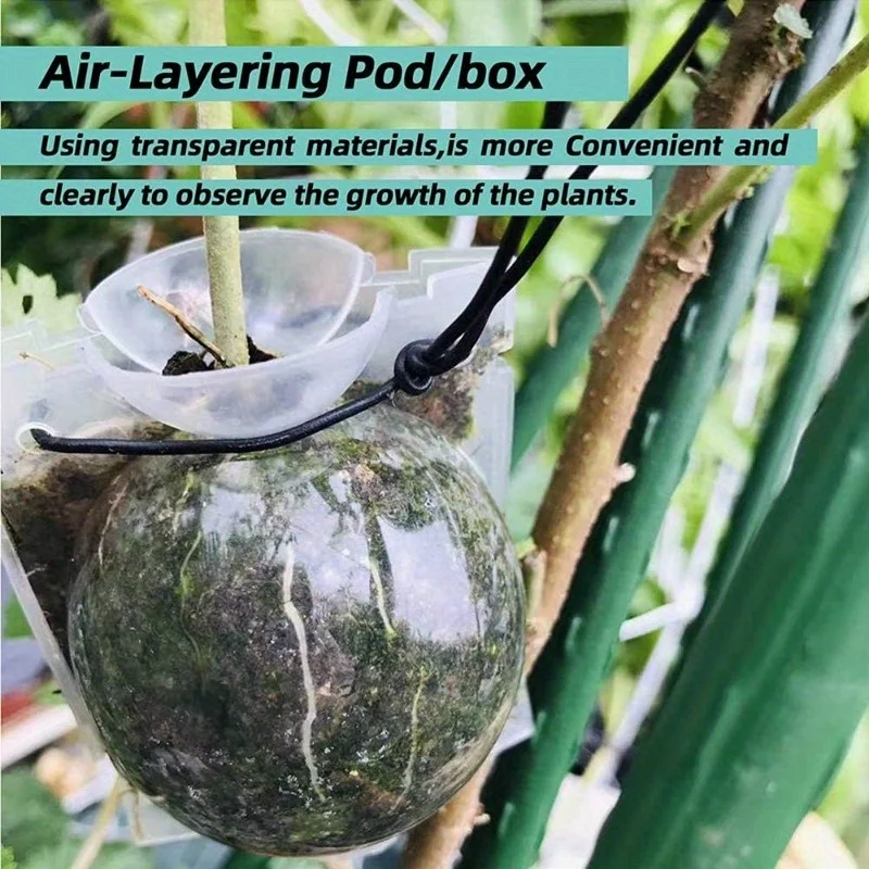 10pcs High-Pressure Propagation Box Set, Tree High-Altitude Branch-Pressing Propagator, Horticultural Grafting Propagation Box