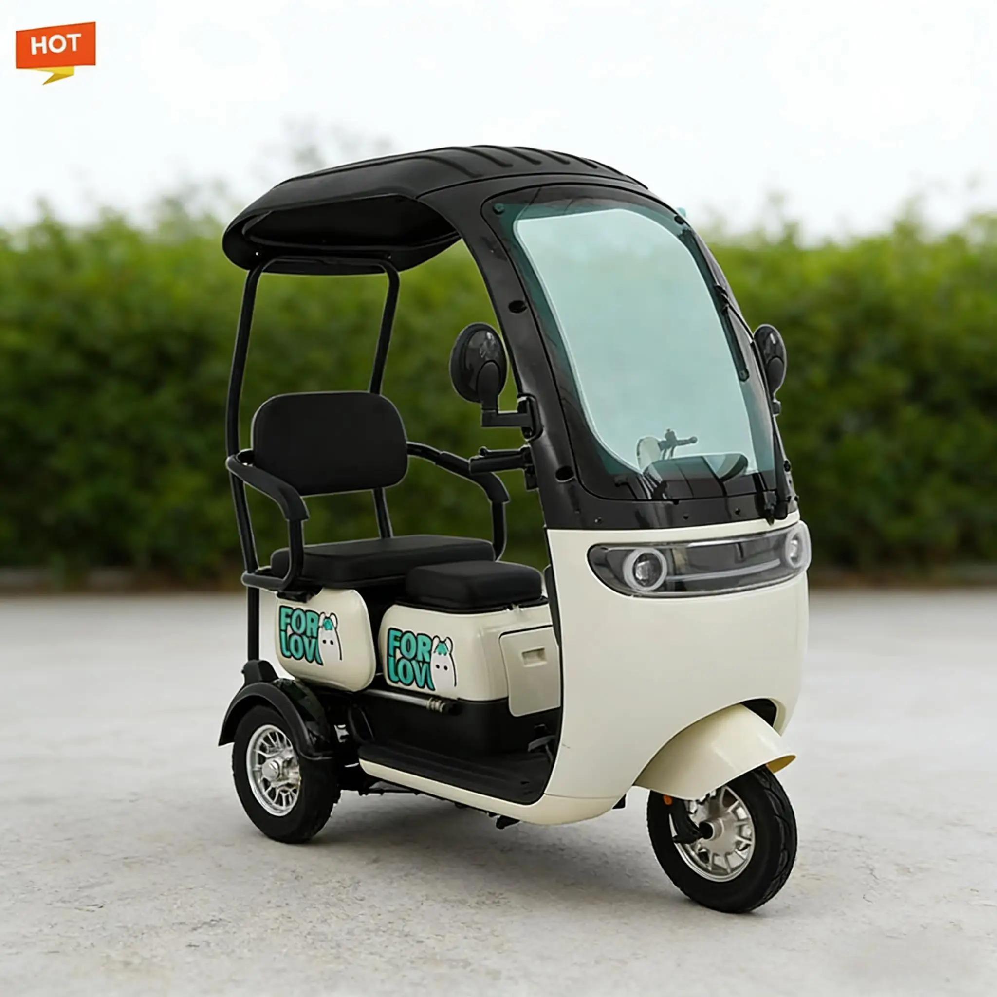 60V 2-Seater Electric Mobility Tricycle with Roof, 3-Wheel Luxury Scooter & Storage