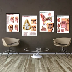 ENT anatomy poster, sinus anatomy art medical education diagram otolaryngologist gift rhinologist office decoration