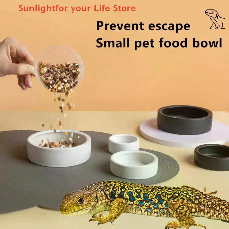 وعاء طعام الزواحف مكافحة الهرو - مراجعة Water Dish Reptile وسعره