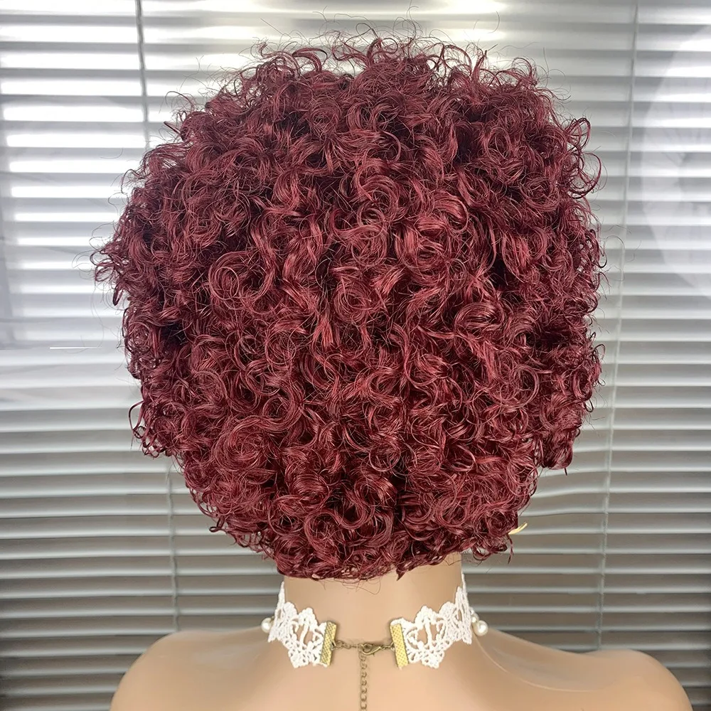 짧은 픽시 컬리 가발 실제 사람 헤어울 롤 아름다운 레이어 및 볼륨 쉬운 관리로 오래 지속되는 스타일 브라질 버진 레미