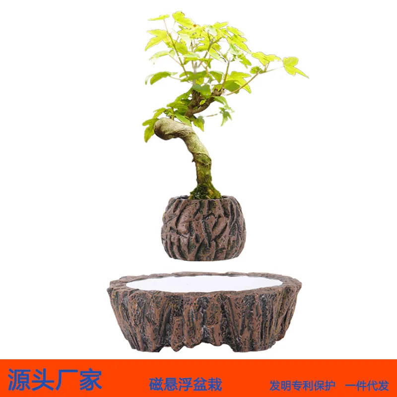 Maglev potted plant home decoration creative ornament opening gift miniature plant bonsai flower pot factory direct sales